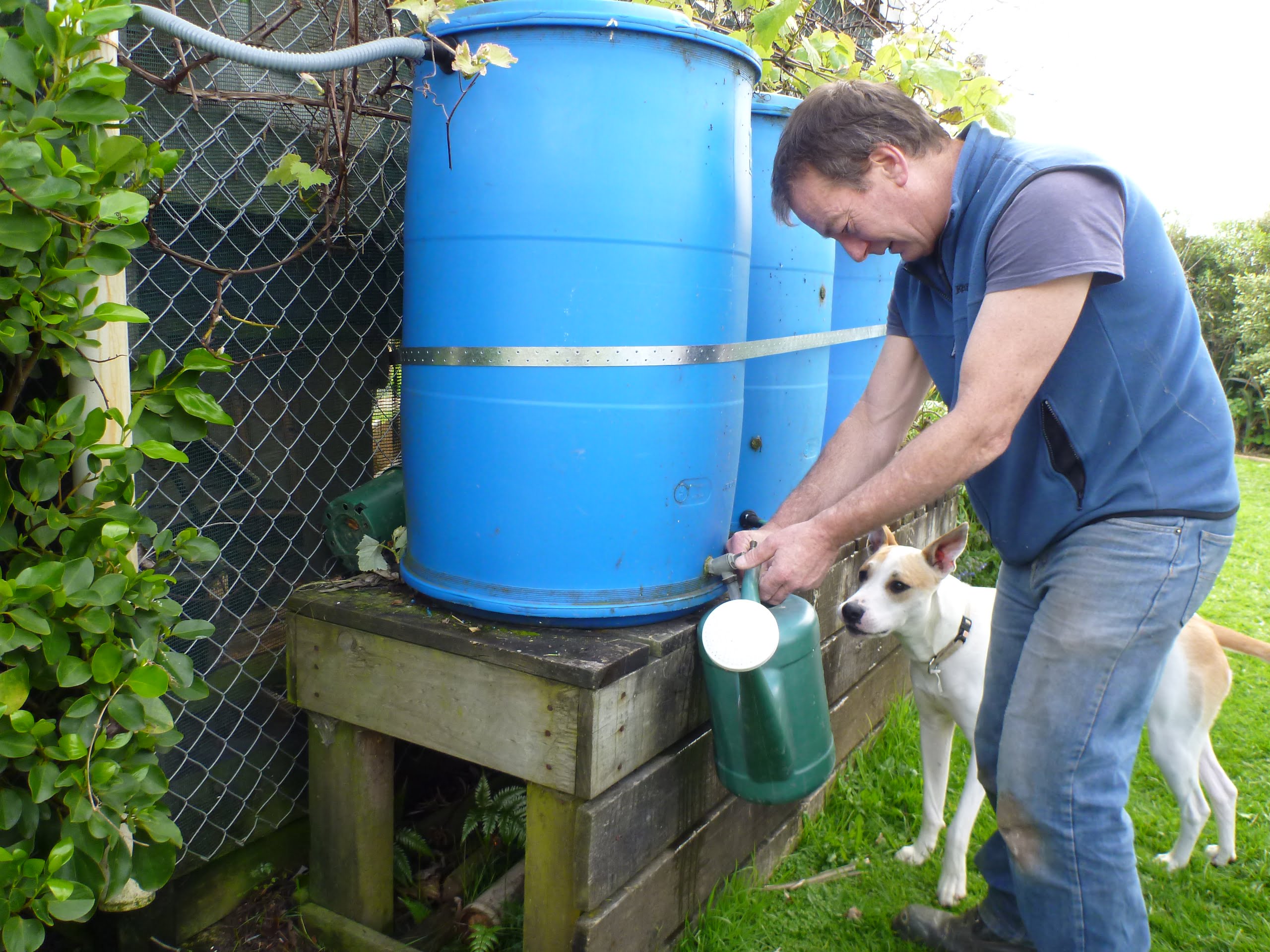 DIY rainwater