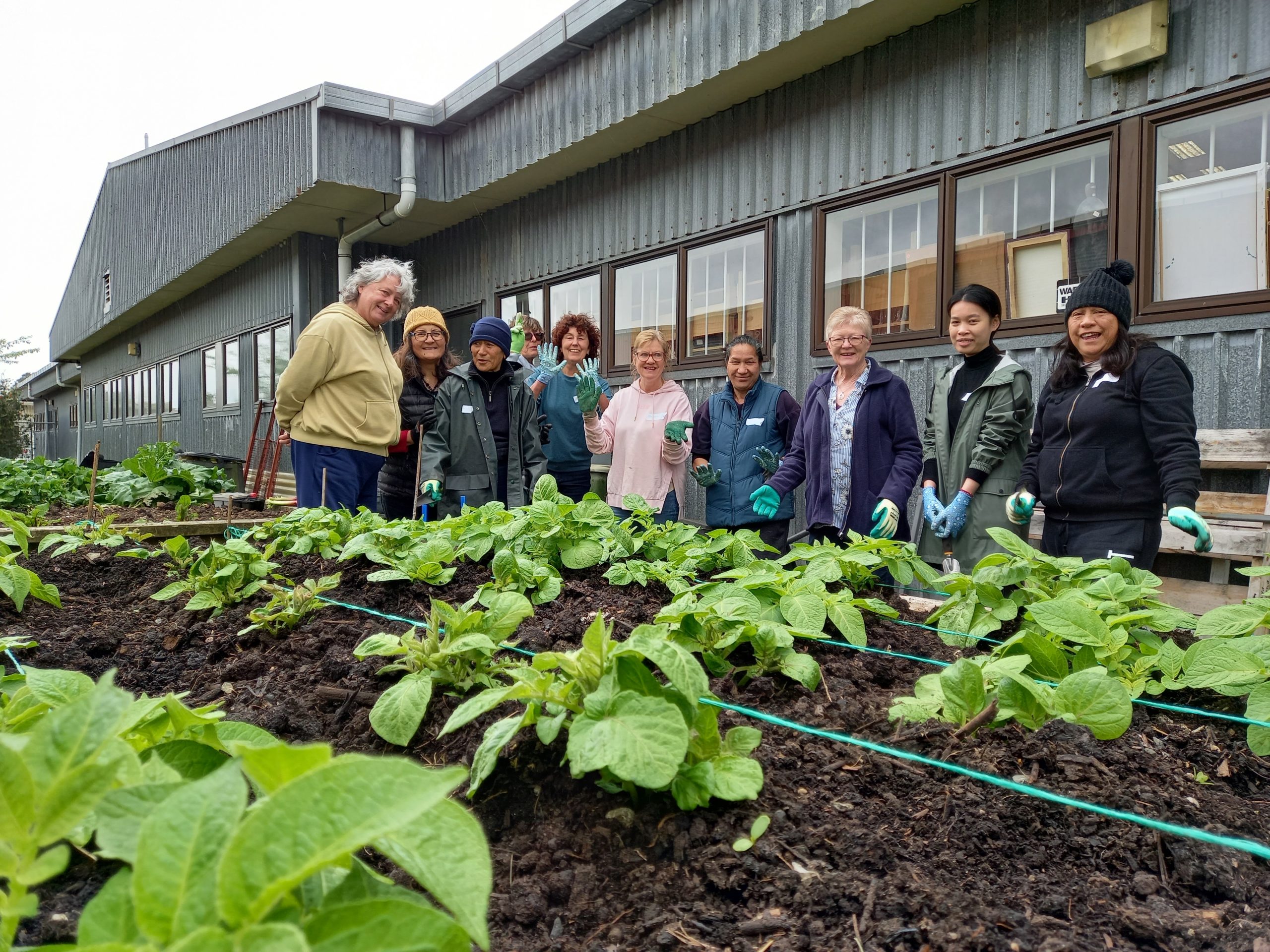 Veggie Gardening