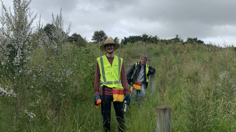 Ātiu Creek Weed Busting Overnighter