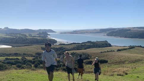 Ātiu Creek Weed Busting Overnighter