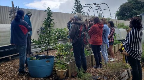 Biochar workshop from 2024.